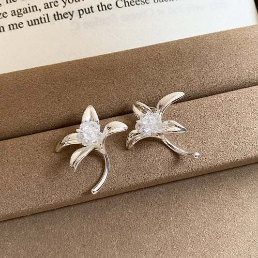 Elegant Crystal Earrings