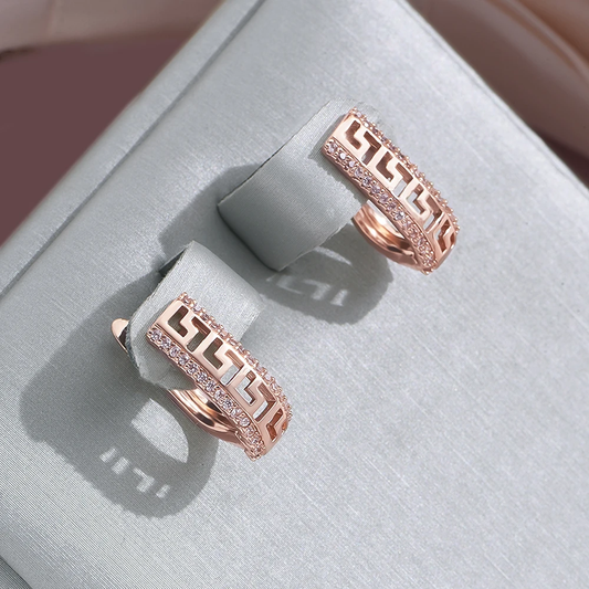 Bright Thin Earrings