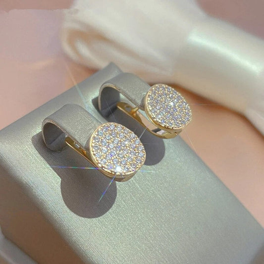 Bright Rounded Plate Earrings