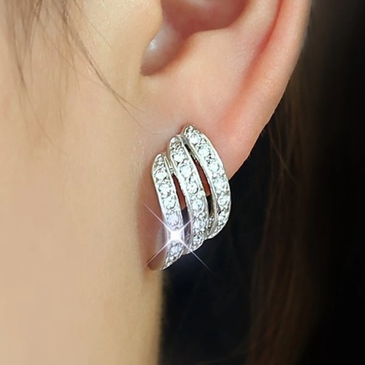 Bright Silver Earrings